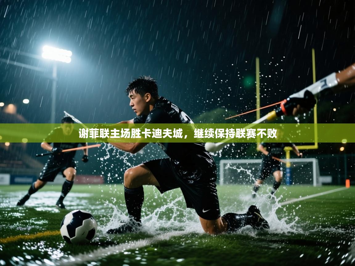 谢菲联主场胜卡迪夫城，继续保持联赛不败  第1张