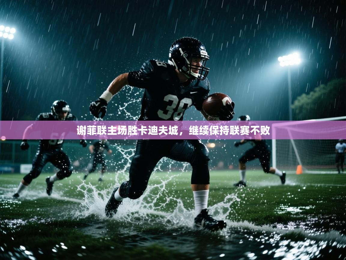 谢菲联主场胜卡迪夫城，继续保持联赛不败  第2张