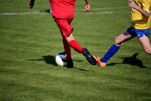 星空体育入口-国内足球俱乐部在国际比赛中一路高歌，国内的足球队