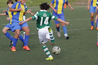 星空体育网页版-青岛黄海主场失利惨遭斯威逆转！